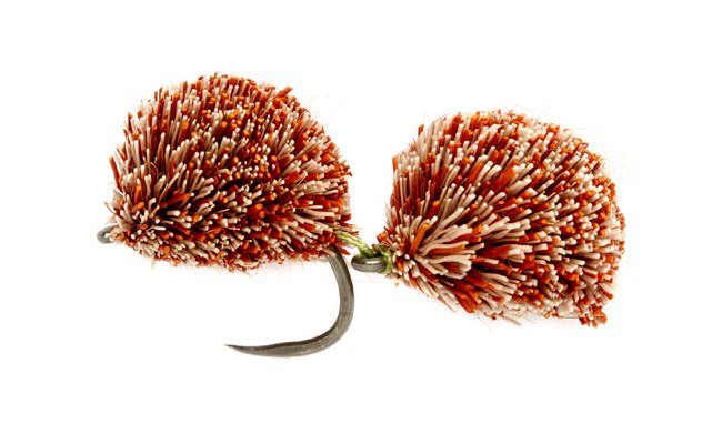 Double Biscuit Close Copy Double Biscuit Close Copy, Size 10