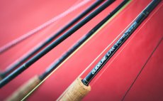 Fly Rod Guideline Elevation Brook & TLT