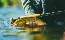 Fly Rod Guideline Elevation Nymph