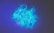 Nuclear Nymph Dubbing Tommi-Fly