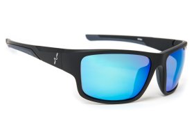 Polarised Glasses Guideline Experience ... Polarised Glasses Guideline Experience Grey/Blue Revo Coating Lens