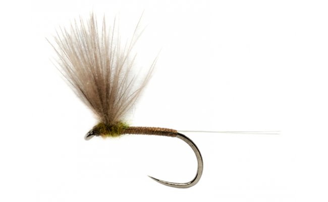 Weiss' CDC Baetis B/L Weiss' CDC Baetis B/L, Size 16