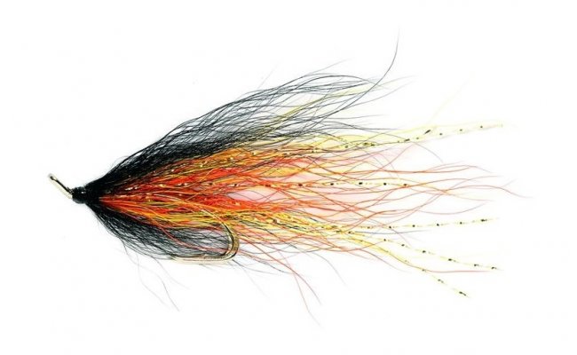 Willie Gunn Willie Gunn, Size 8