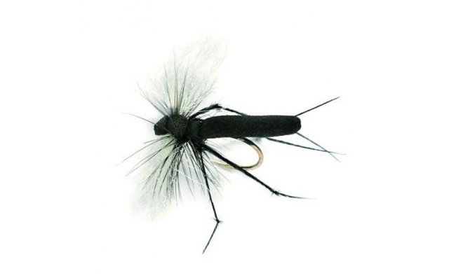 Aero Hawthorne B/L Aero Hawthorne B/L, Size 12