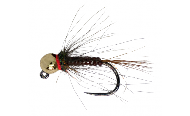 AR Bodyglass Slim Jig B/L AR Bodyglass Slim Jig B/L, Size 12