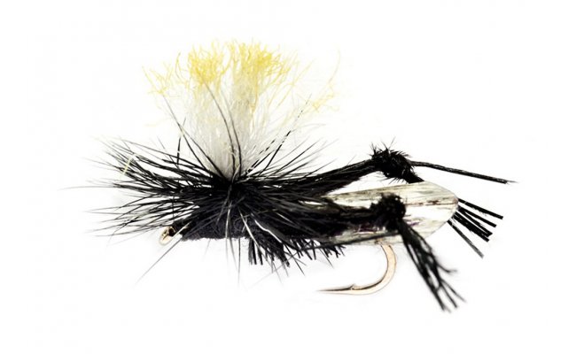 Cricket Black Hi-Vis Parachute Cricket Black Hi-Vis Parachute, Size 12