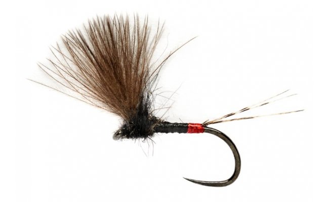 Roza's French V-Wing Dun B/L Roza's French V-Wing Dun B/L, Size 16