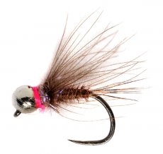 CdC Hot Spot PT Blurple B/L