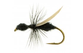 Flying Ant Black Flying Ant Black, Size 14