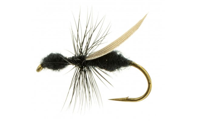 Flying Ant Black Flying Ant Black, Size 14