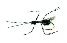 Bill's Black Flying Ant Bill's Black Flying Ant, Size 16