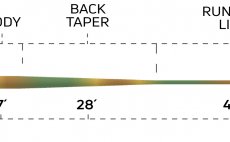 Fly Line Intermediate Cortland 444 CLEAR CAMO Classic - Tapper Chart