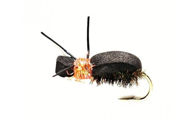 Procter Kicking Beetle Orange Procter Kicking Beetle Orange, Size 12