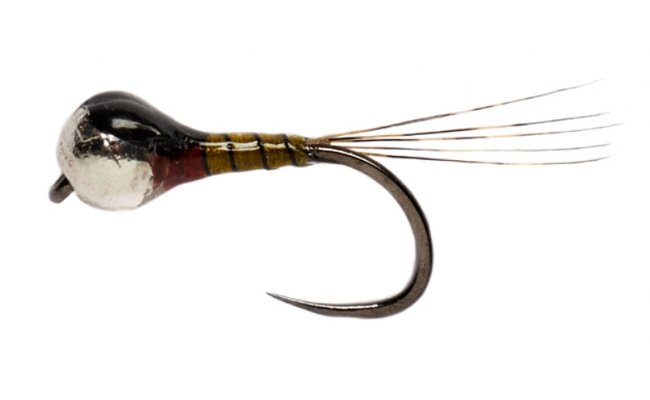 Weiss' BP Dark B/L Weiss' BP Dark B/L, Size 16