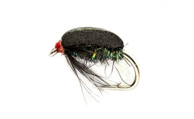 Coch-Y-Bonddu Beetle Coch-Y-Bonddu Beetle, Size 12