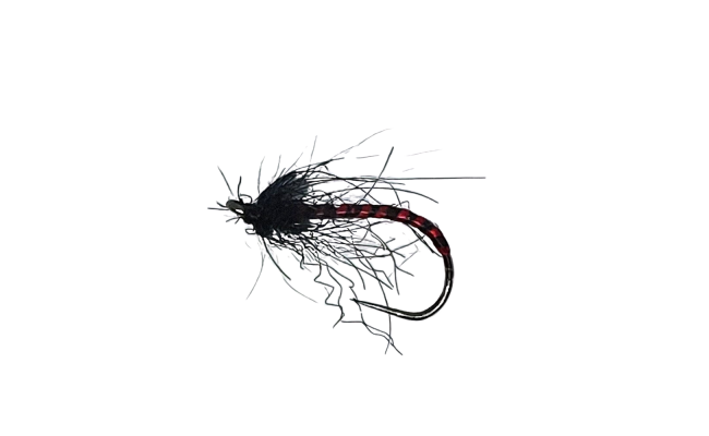 Buzzer Emerger Black & Red B/L Buzzer Emerger Black & Red B/L, Size 12