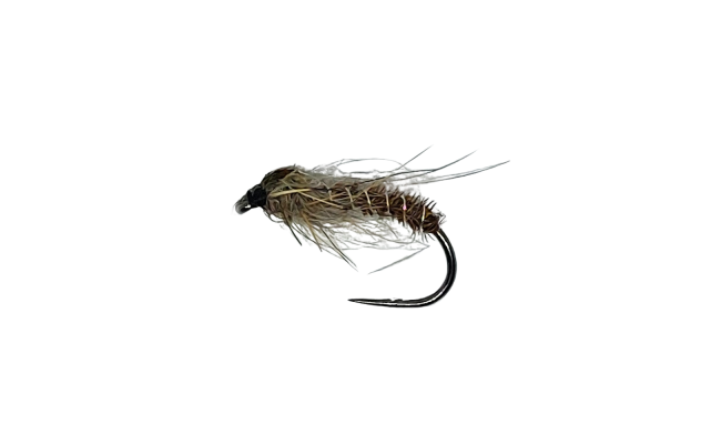 Cove PTN Buzzer B/L Cove PTN Buzzer B/L, Size 14
