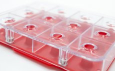 Dubbing Box Fulling Mill