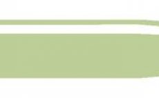 Fly Line Guideline Predator Evolve Floating