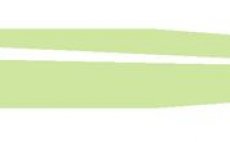 Fly Line Guideline Predator Evolve Hover/Intermediate