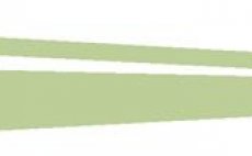 Fly Line Guideline Predator Evolve Sinking S1/S3