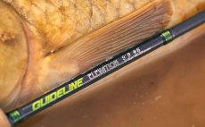 Fly Rod Guideline Elevation