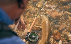 Fly Rod Guideline Elevation