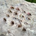 Luboš Roza's Favorite River Flies - Fly Selection