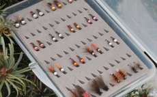 Superlight River Fly Fishing - Fly Selection