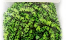 MOP Chenille Hank Competition Grizzly Chartreuse