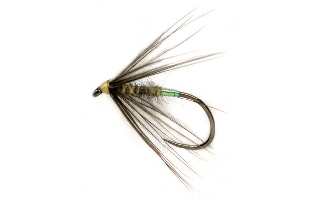 Procter's Pearly Butt Bloa B/L Procter's Pearly Butt Bloa B/L, Size 14