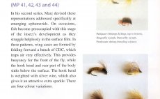 Tying Flies With CDC