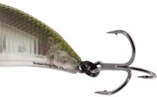 Wobbler Westin BuzzBite Crankbait - Detail