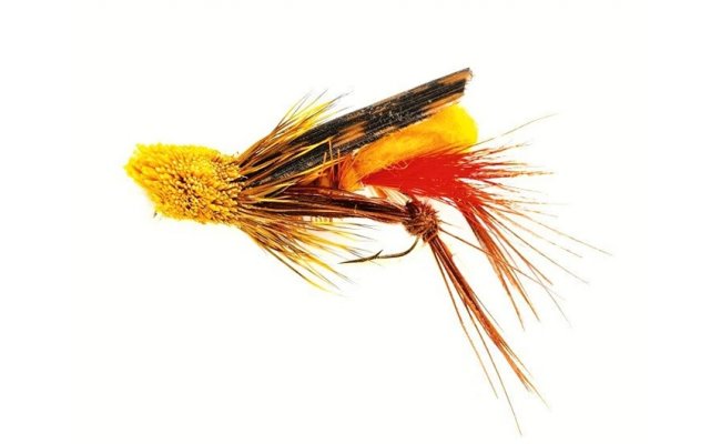 Grasshopper Grasshopper, Size 10