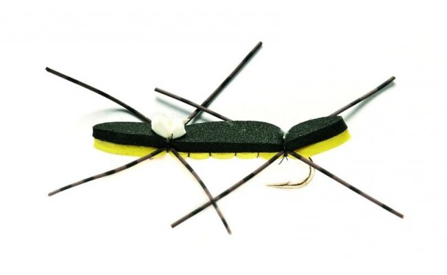 Chernobyl Ant Black & Yellow Chernobyl Ant Black & Yellow, Size 8