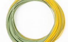 Fly Line Floating Leichi Real Gold