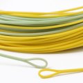 Fly Line Floating Leichi Real Gold