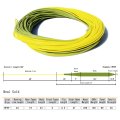 Fly Line Floating Leichi Real Gold Chart