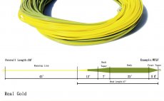 Fly Line Floating Leichi Real Gold Chart