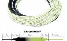 Fly Line Floating & Sink Tip Leichi Level Sink 3