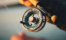 Fly Reel Guideline Aura Titan - In Action