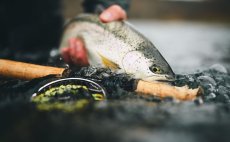 Fly Reel Guideline Aura Titan - In Action
