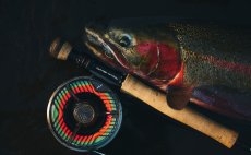 Fly Reel Guideline Aura Titan - In Action