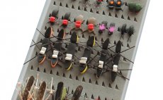 MUST HAVE Summer Terrestrial Flies - Fly Selection