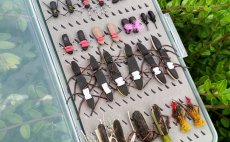 MUST HAVE Summer Terrestrial Flies - Fly Selection