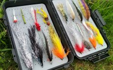 TOP Streamers For Freshwater Predators - Fly Selection