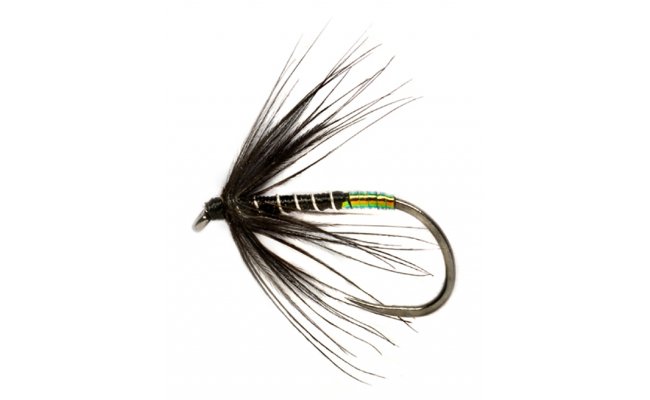 Procter's Pearly Butt Black Spider B/L Procter's Pearly Butt Black Spider B/L, Size 14