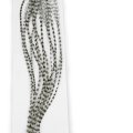 Rooster Hackles Whiting 100 Pack - Size 6