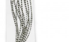 Rooster Hackles Whiting 100 Pack - Size 6