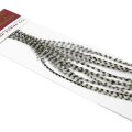 Rooster Hackles Whiting 100 Pack - Size 6